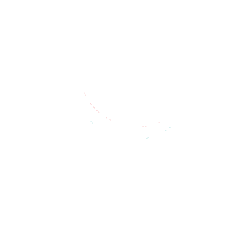 Logo4